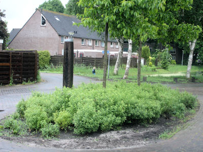 Meerpalen in Boswijk